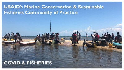 Webinar - Sustainable Fisheries in the Context of COVID