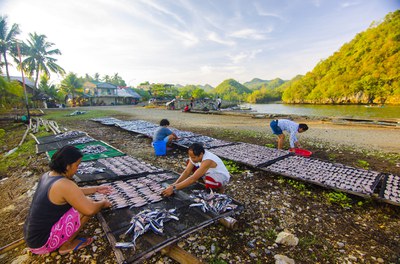 Turning to Science to Build Consensus: The Seasonal Fishing Closure in Balayan Bay, Philippines